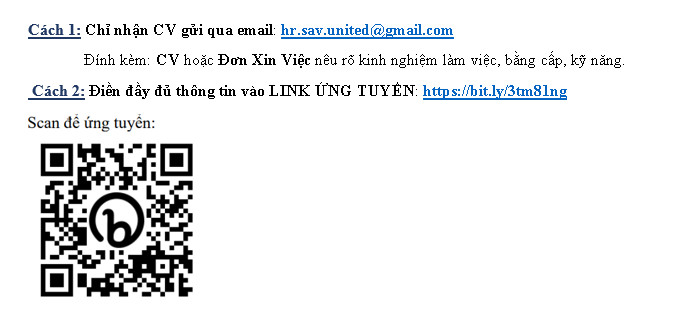 lĩnh vực hoạt động